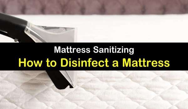 Mattress Cleaning & Disinfection